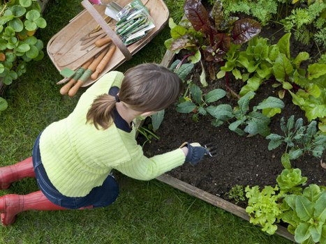 Man and van vehicle loading green waste in an urban garden
